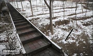 برف چهره تهران را سپیدپوش کرد 22