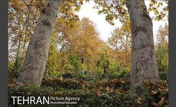 بوستان اندیشه(شهید منفرد نیاکی) 9