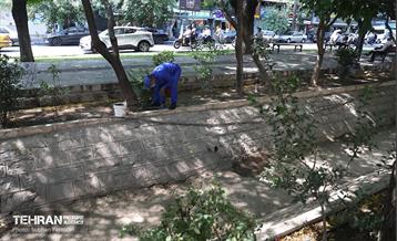 مبارزه با جانوران موذی 15