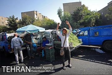میوه فروشان خیابانی 16