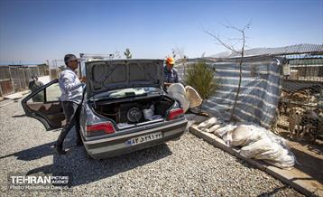 مهربانی با سگ های بدون صاحب 14