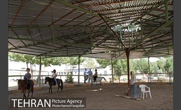 سوارکاری ورزشی برای کودکان‎ 10