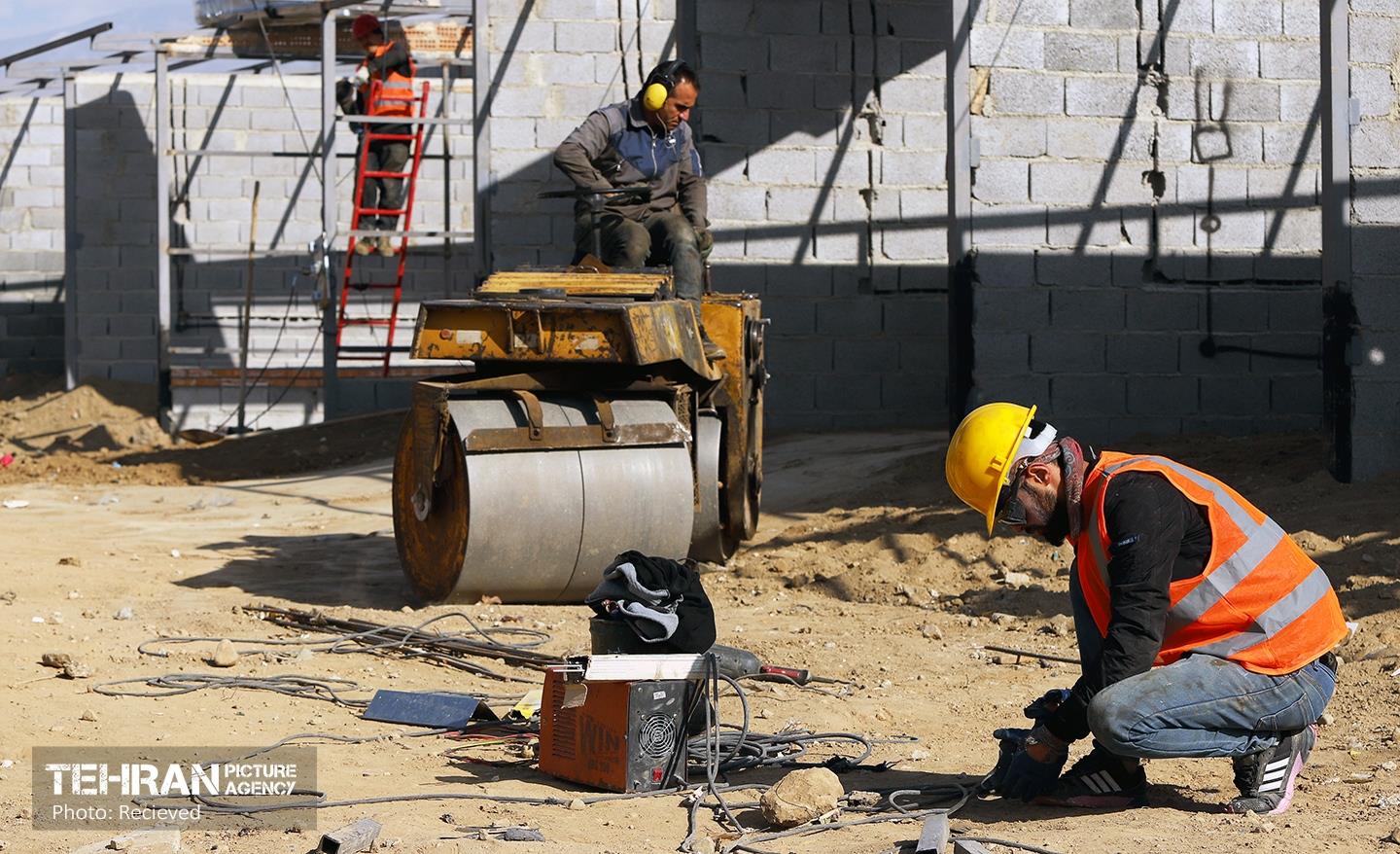 اینجا کارگاهه؛ بازار پرندگان خلیج فارس 8