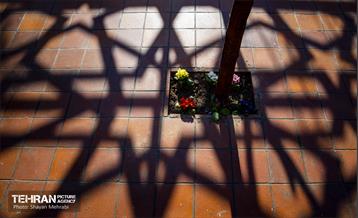 باغ گلاریس 34