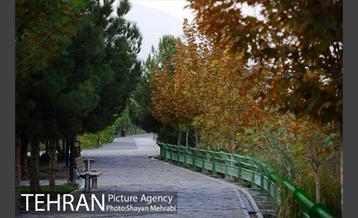 بوستان نهج البلاغه (فاز2) 9