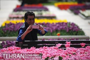 رویش گل های لاله در بوستان گفتگو 27