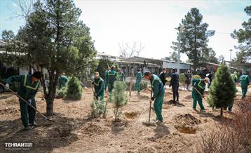 روز درختکاری با حضور مادران شهدا 3