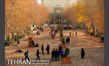 به رنگ پاییز 1