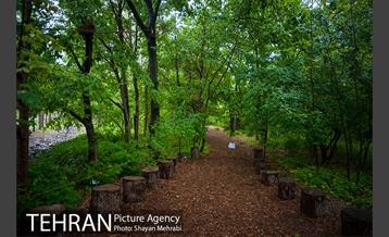 باغ گیاه‌شناسی ملی ایران 33