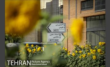 پادگان جی زیر پای مردم 16