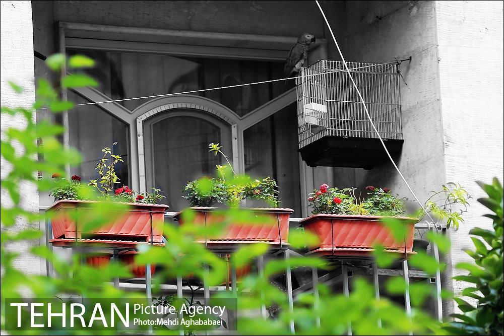 بالکن های رنگی 6