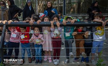 «مایسا» یکساله شد 29