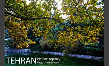 بوستان گفتگو‎ 1