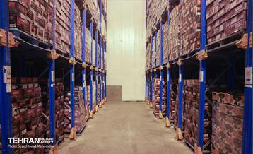 بازدید از سردخانه 30