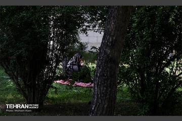 مراسم دعای عرفه دانشگاه تهران 29