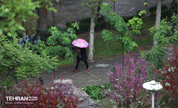 بارش باران بهاری در تهران - 1 13
