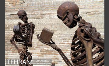 موزه آثار طبیعی و حیات وحش هفت چنار 19