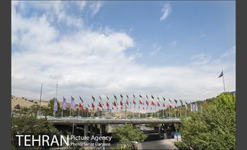 بوستان آزادگان 29