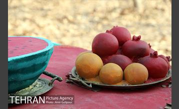 برپایی سفره شب یلدا در بوستان جوانمردان ایران 5