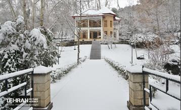 تهران برفی  5