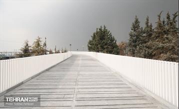 به وقت خدمت؛ مسیر زندگی 29