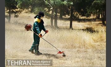 علف زنی بوستانهای تهران برای مقابله با آتش سوزی 21