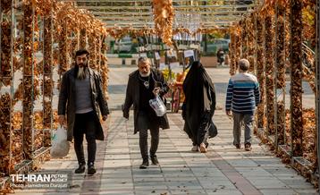 گذرگاه های پاییزی پایتخت - پارک ملت  9