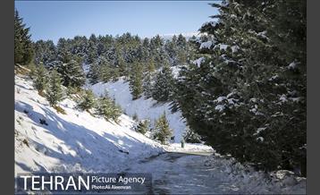 طبیعت برفی تلو 26