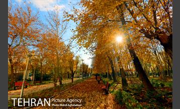 پاییز بوستان تمدن 5