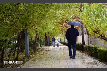 یک روز پاییزی در منطقه ۱۴