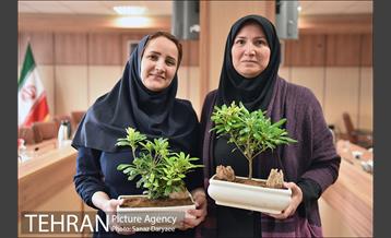 تجلیل از بانوان مرکز ارتباطات و امور بین الملل شهرداری تهران 18