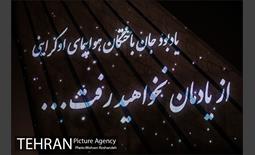 ویدیومپینگ اولین سالگرد درگذشتگان پرواز ۷۵۲ هواپیمایی اوکراین 5