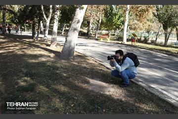 تور عکاسی بوستان بعثت 21