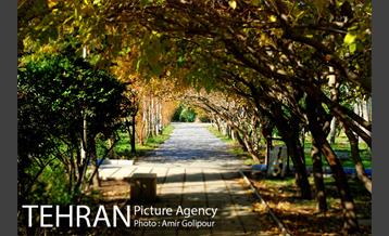 شهرک صدرا 37