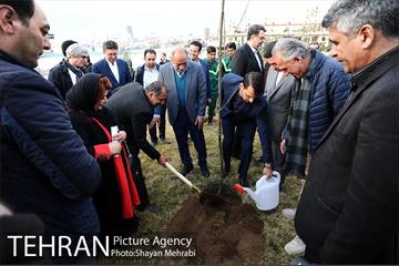 کاشت شش نهال درخت زیتون با حضور کارگرداران سینمای ایران 8