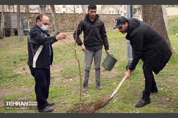 کاشت درخت توسط هنرمندان در فرهنگسرای نیاوران 11
