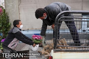 بازار گل و گیاه غرب تهران در آستانه نوروز 17