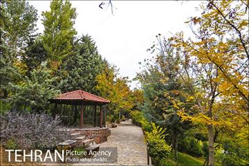 طبیعت پاییزی بوستان فدک 22