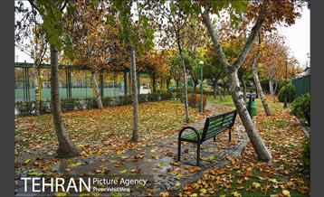 پاییز در بوستان رازی 8