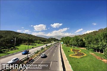فصل بهار در بوستان های منطقه 4 15