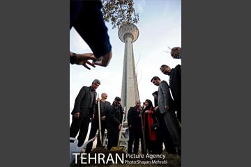 کاشت شش نهال درخت زیتون با حضور کارگرداران سینمای ایران 13