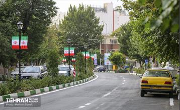 رفیوژ های همیشه سبز 16