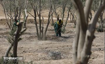 اینجا کارگاهه؛ پروژه بام ری 58