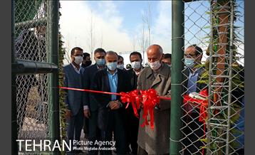 بهره‌برداری از 15 زمین ورزشی در منطقه 19