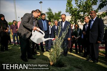 آئین درخت کاری به مناسبت تولد گاندی 18