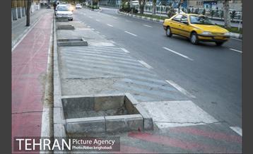 پارک خودرو‌ بین درختان چنار 20