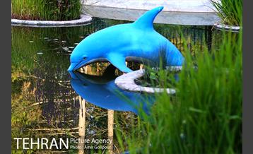 باغ راز هستی 34