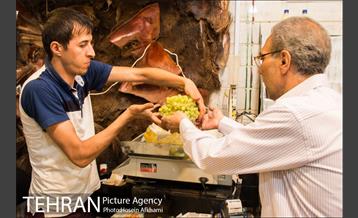 میوه های تابستانه رونق میوه فروشی ها 14