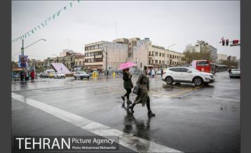 بارش باران بهاری در تهران 4