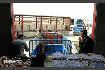 توزیع میوه شب عید قیمت تنظیم بازار در میادین و بازارهای میوه و تره‌بار 9